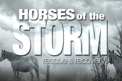 HRN-HORSESSTORM18-1